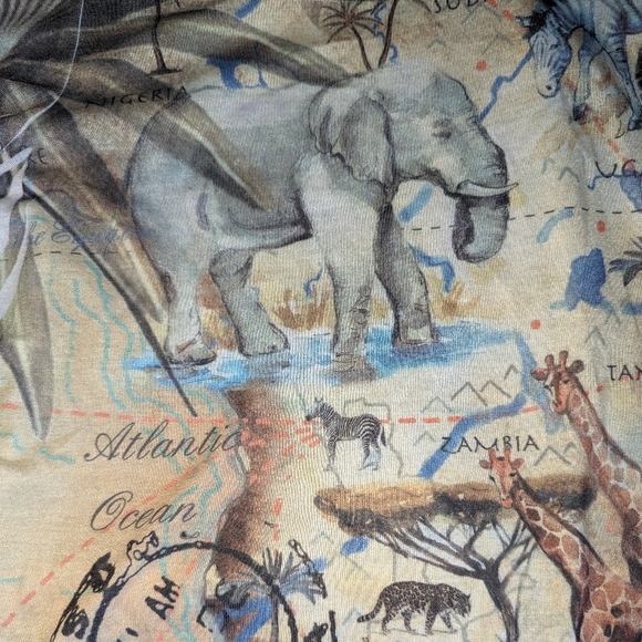 Chico's African ๐๐๐ฆ๐ฆ๐ฆ๐ฆ๐ฆpassport colorful 3/4 sleeve top size2 - Picture 4 of 10